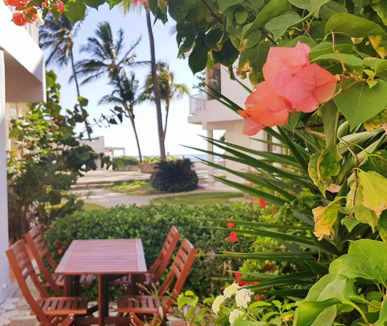 Homestay szállás Condo Cabrinha - Direct On Kite Beach Cabarete